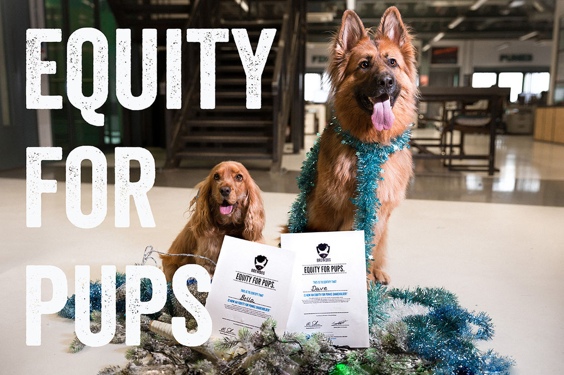 EQUITY FOR PUPS