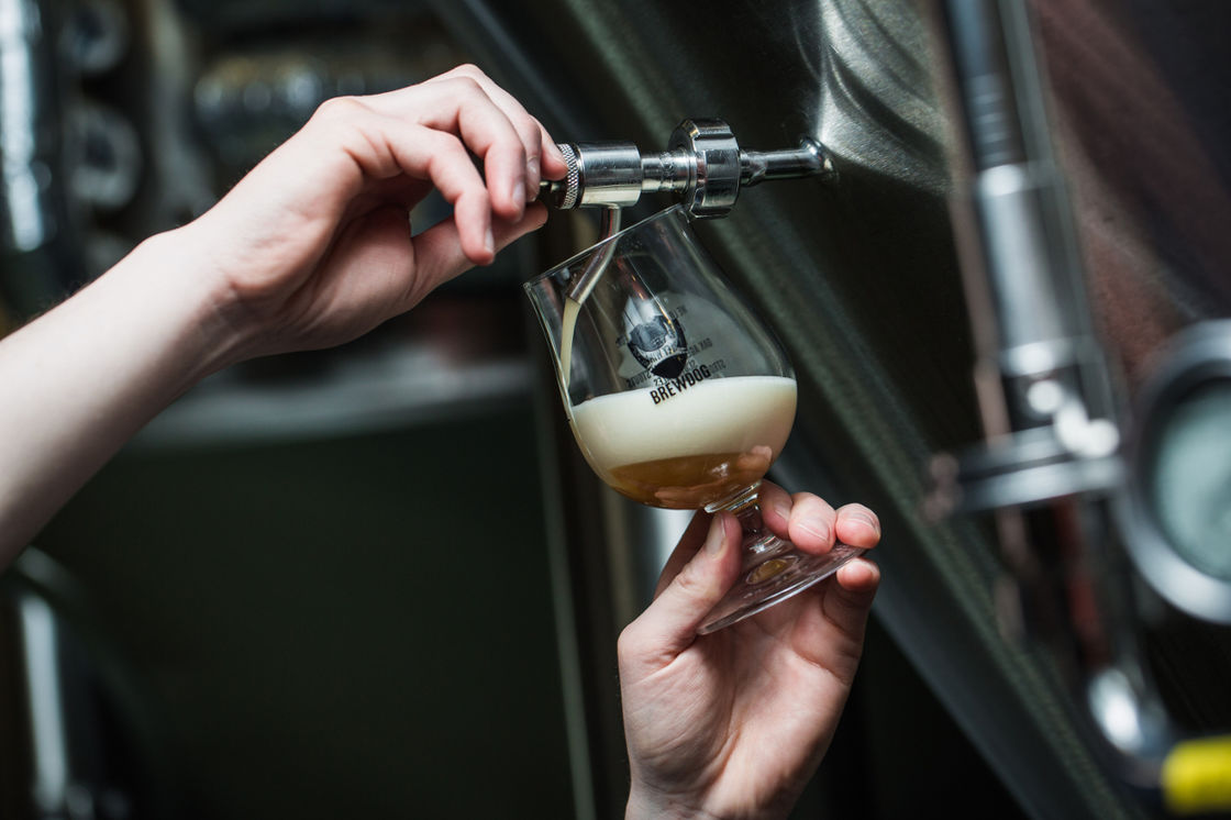 EVER WANTED TO BREW YOUR OWN BEER?