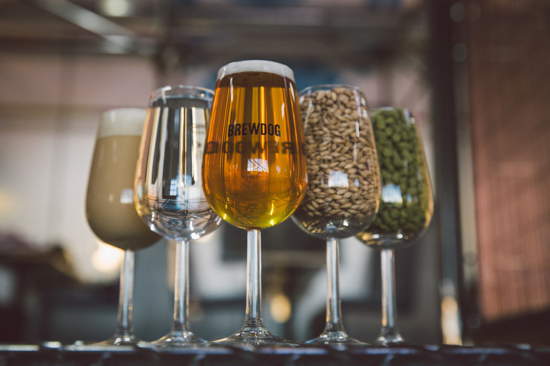 CRAFT BEER, BY OUR EQUITY PUNKS